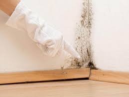 Reliable Fitchburg, MA Mold Remediation Solutions